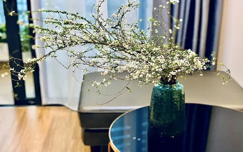 Một người nhẹ nhàng thay nước và tỉa cành cho bình tuyết mai, thể hiện sự chăm sóc tỉ mỉ để hoa tươi lâu